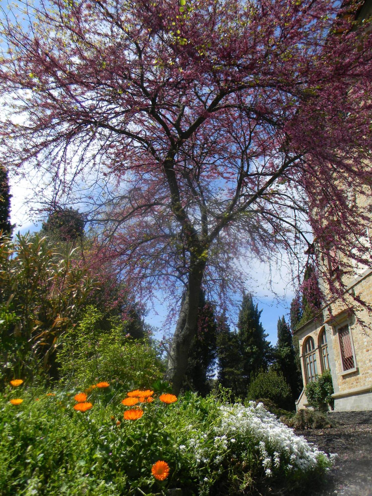 Villa Le Querciolaie Monteverdi Marittimo Zewnętrze zdjęcie